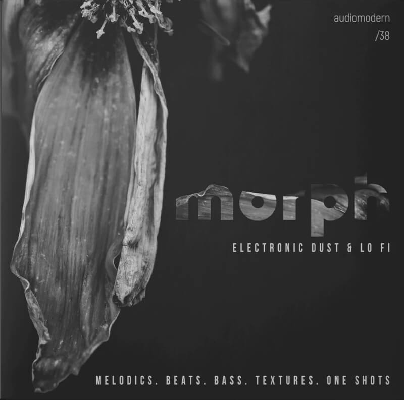 Audiomodern-Morph